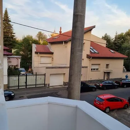 Cozy Near Center Apartment