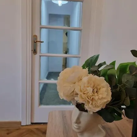 Cozy Near Center アパート