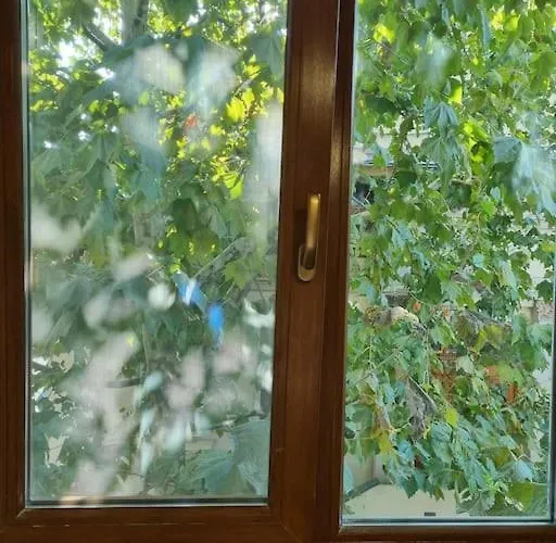 Apartman Cozy Near Center *